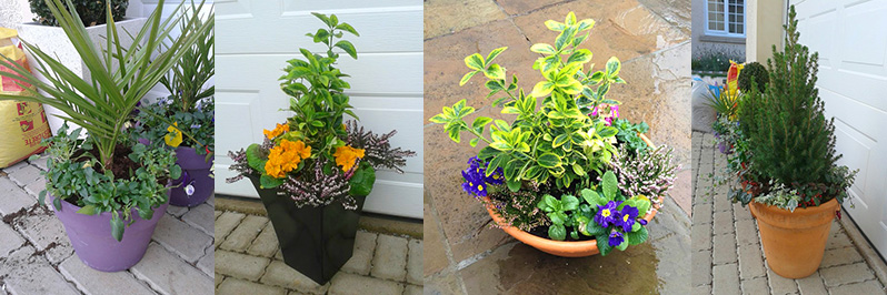 planters.jpg